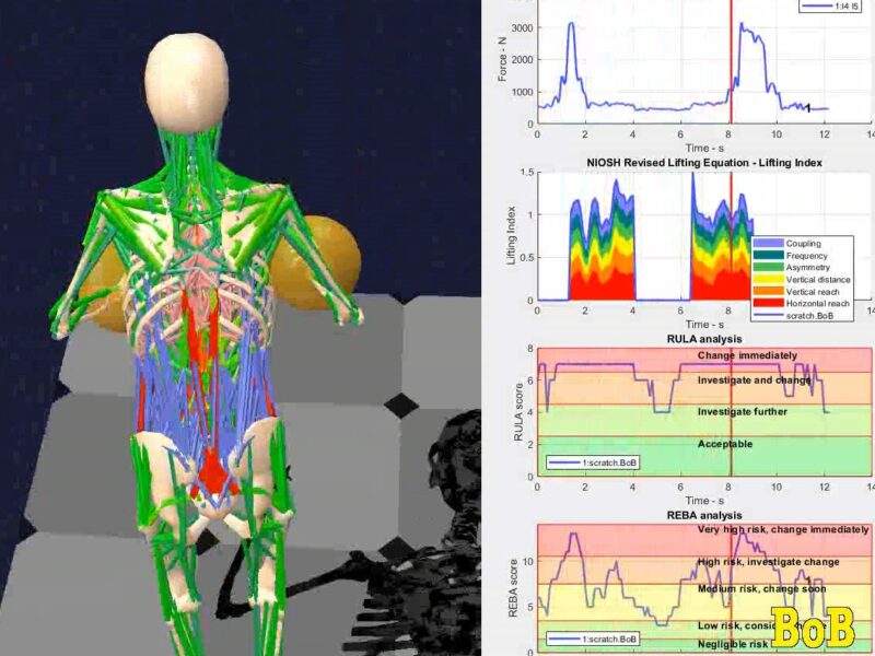 Biomechanical Analysis